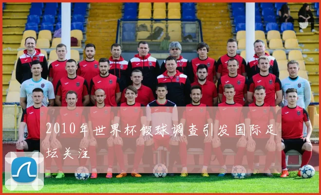 2010年世界杯假球调查引发国际足坛关注