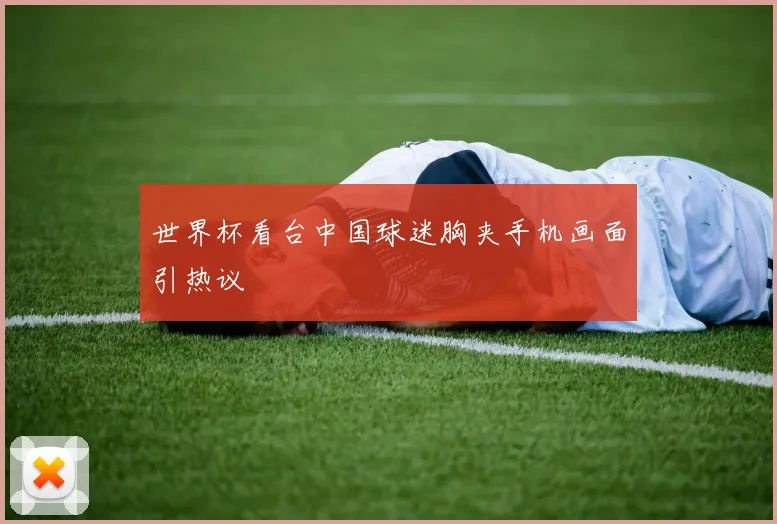 世界杯看台中国球迷胸夹手机画面引热议